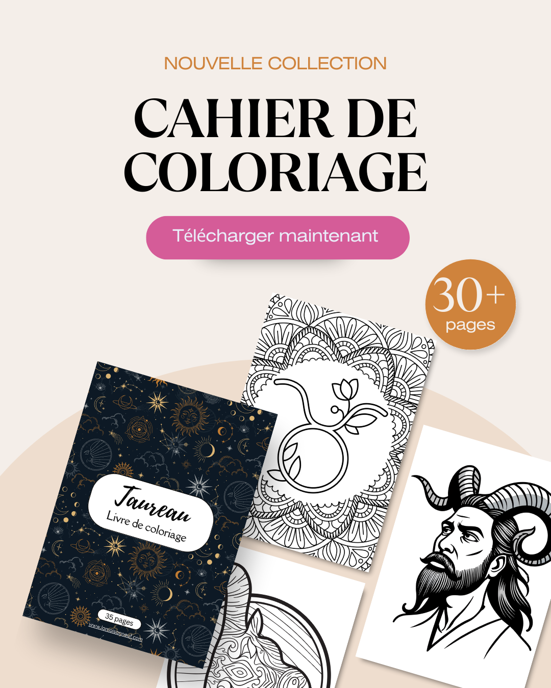 Cahier de coloriage pour adultes - Coloriage anti stress
