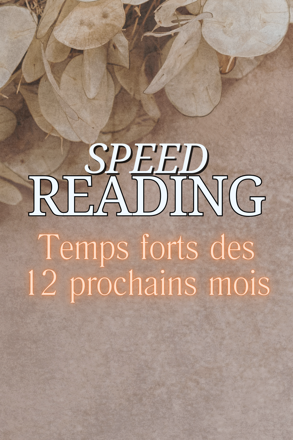 Speed Reading: Transits des 12 prochains mois